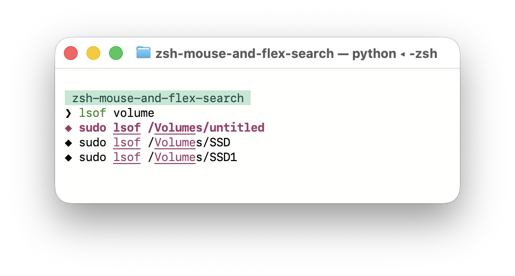 A terminal showing fuzzy command results for lsof volume
