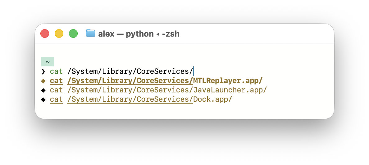 A terminal showing runtime path completions in a different color